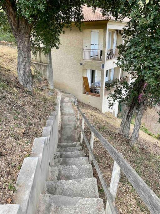 Apartment Casarella Bulle De Paix En Corse Entre Terre Et *